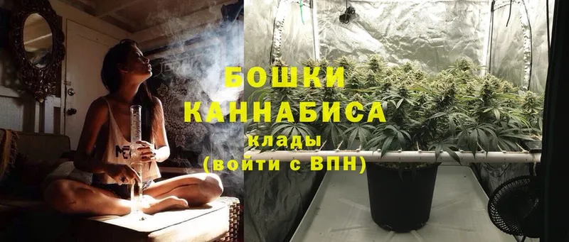 Шишки марихуана OG Kush  Остров 